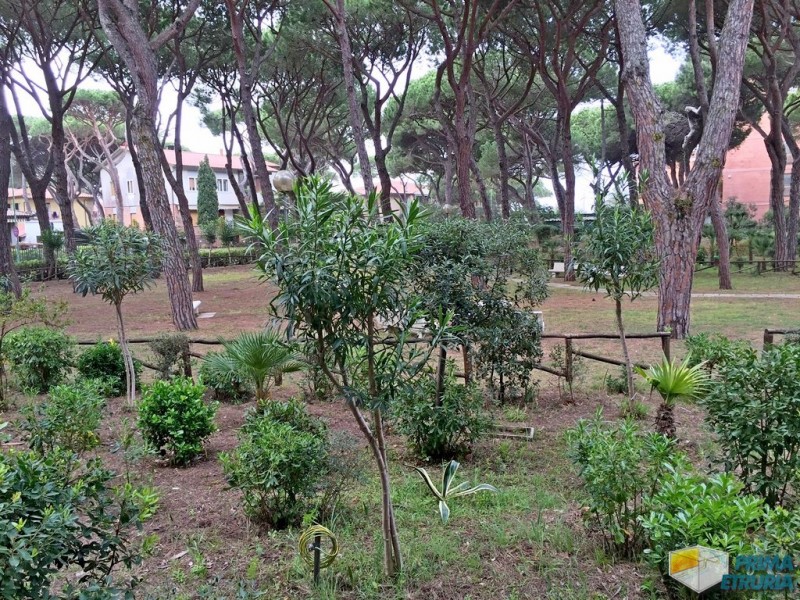 QUOTA IN COOPERATIVA LA LIRA 4 - ZONA ROSMARINA
