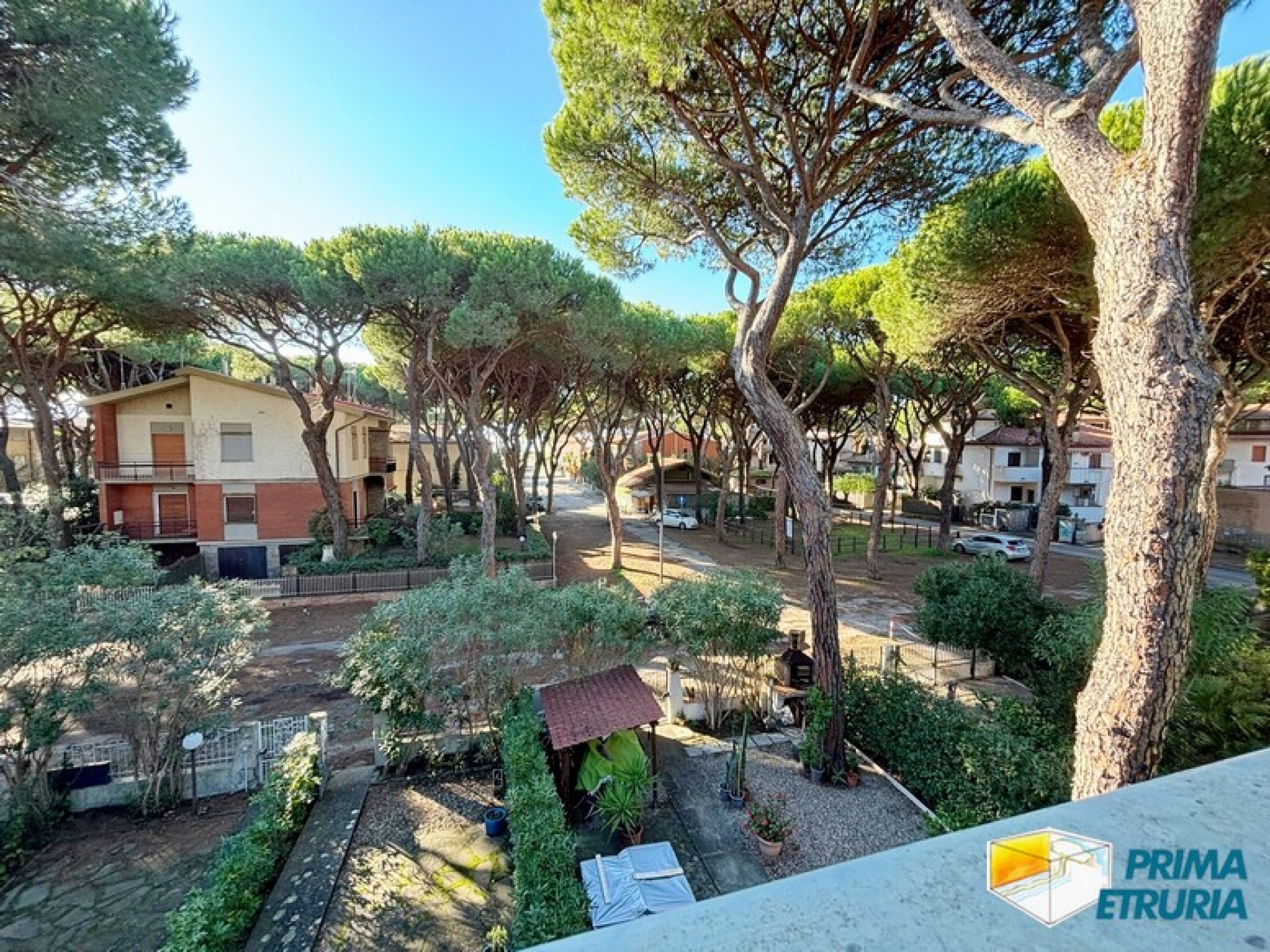 La luce del mare e il verde della pineta in una soluzione indipendente - ZONA ROSMARINA -