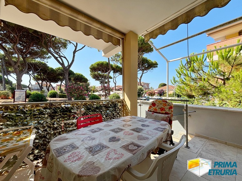 Trilocale con terrazza immerso nella pineta - ZONA ROSMARINA -